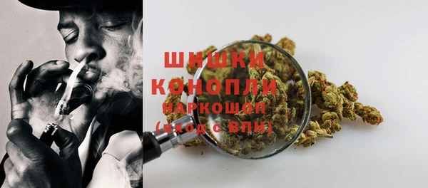 тгк Лагань