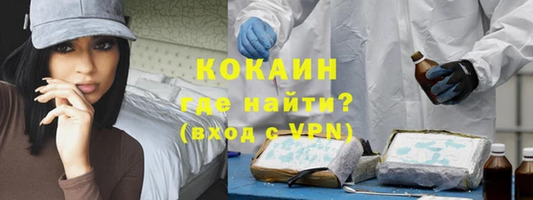тгк Лагань