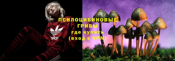 тгк Лагань