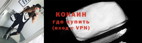 тгк Лагань