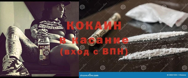 тгк Лагань