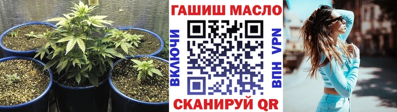 мега маркетплейс  Псков  Дистиллят ТГК Wax 