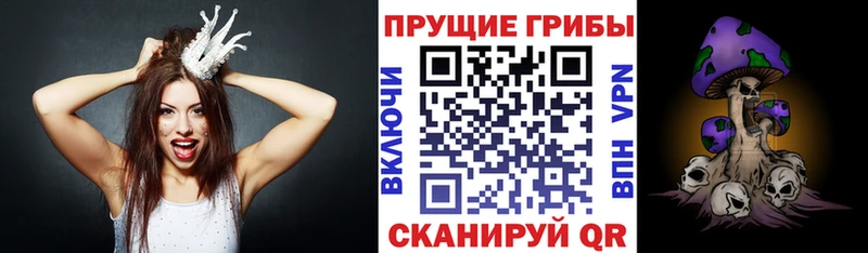 цена   ОМГ ОМГ ссылка  Галлюциногенные грибы Psilocybine cubensis  Псков 